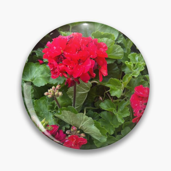 Item preview, Geraniums  designed and sold by Lauracolleen3.