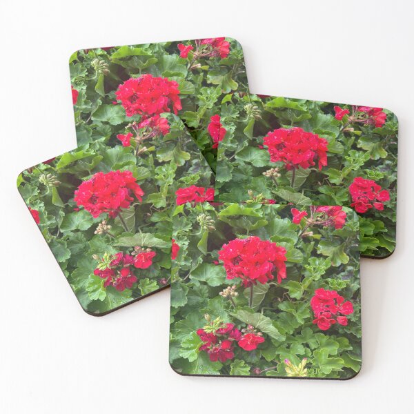 Item preview, Geraniums  designed and sold by Lauracolleen3.