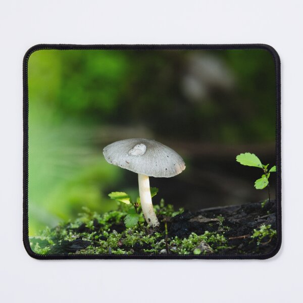 Item preview, Forest Awakening designed and sold by Mutezone.