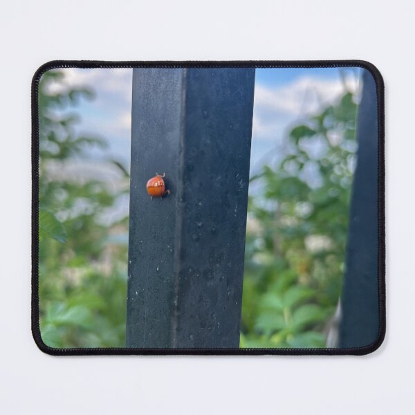 Item preview, Lady bug designed and sold by Lauracolleen3.