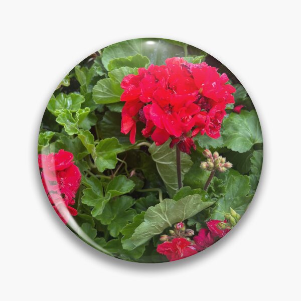 Item preview, Geraniums  designed and sold by Lauracolleen3.