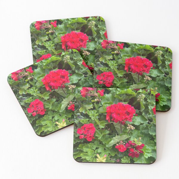 Item preview, Geraniums  designed and sold by Lauracolleen3.