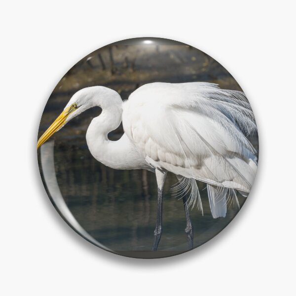 Item preview, Elegant Plumes of a Great Egret designed and sold by Debra Martz.