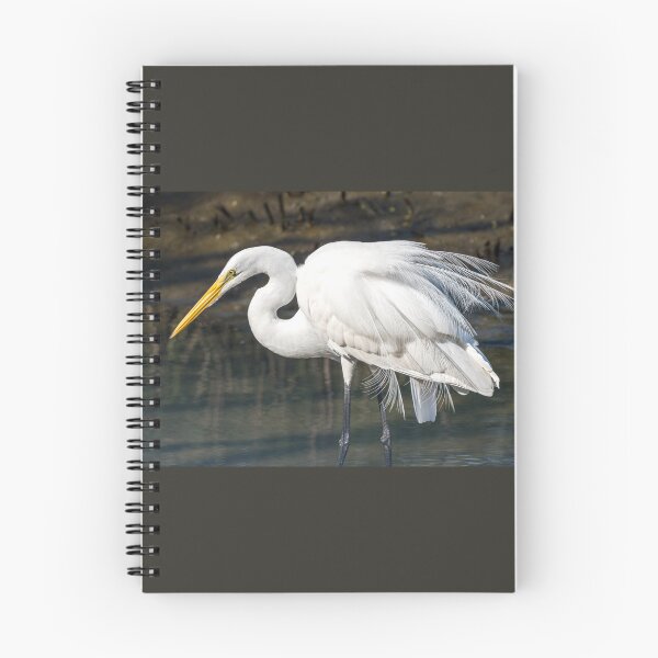 Item preview, Elegant Plumes of a Great Egret designed and sold by Debra Martz.