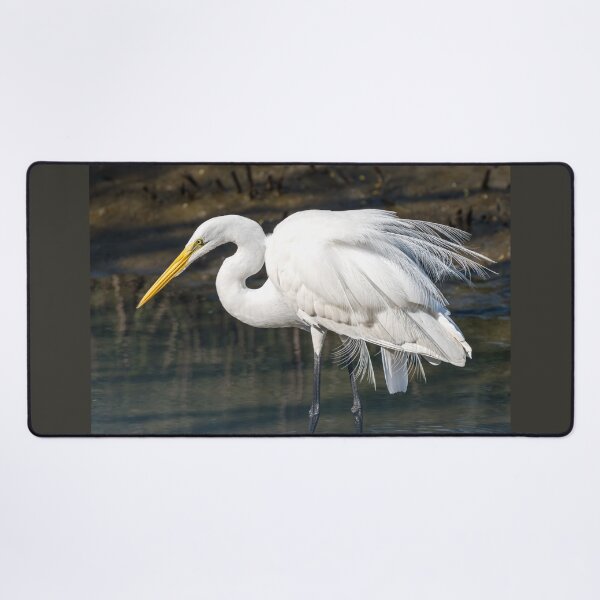 Item preview, Elegant Plumes of a Great Egret designed and sold by Debra Martz.