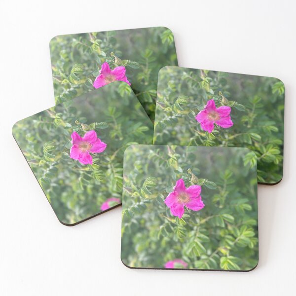 Item preview, Beach roses designed and sold by Lauracolleen3.