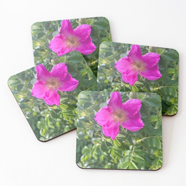 Item preview, Beach roses designed and sold by Lauracolleen3.