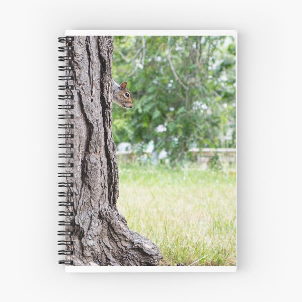 Item preview, Peek-a-Boo — Grey Squirrel Hiding Behind a Tree, Leamington Spa designed and sold by Feathers-Fur.