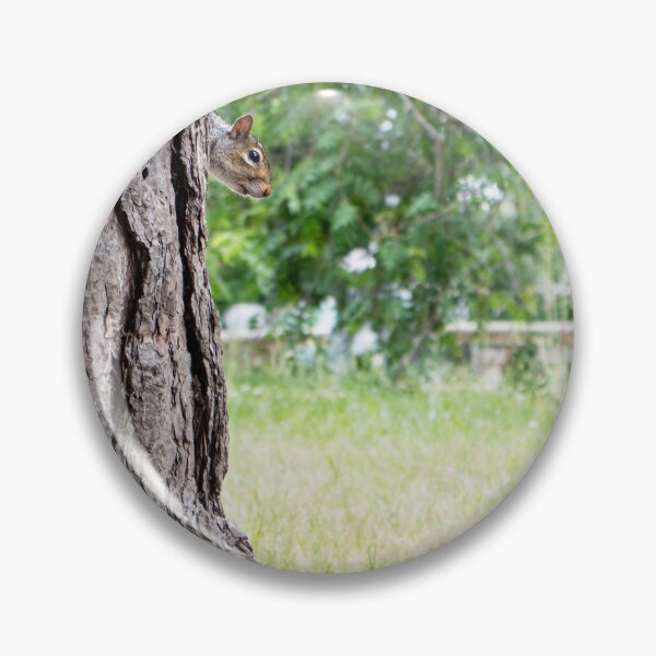 Item preview, Peek-a-Boo — Grey Squirrel Hiding Behind a Tree, Leamington Spa designed and sold by Feathers-Fur.