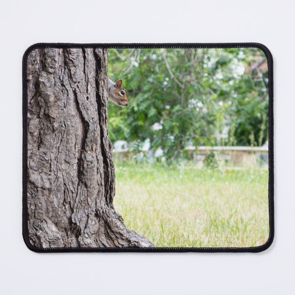 Item preview, Peek-a-Boo — Grey Squirrel Hiding Behind a Tree, Leamington Spa designed and sold by Feathers-Fur.