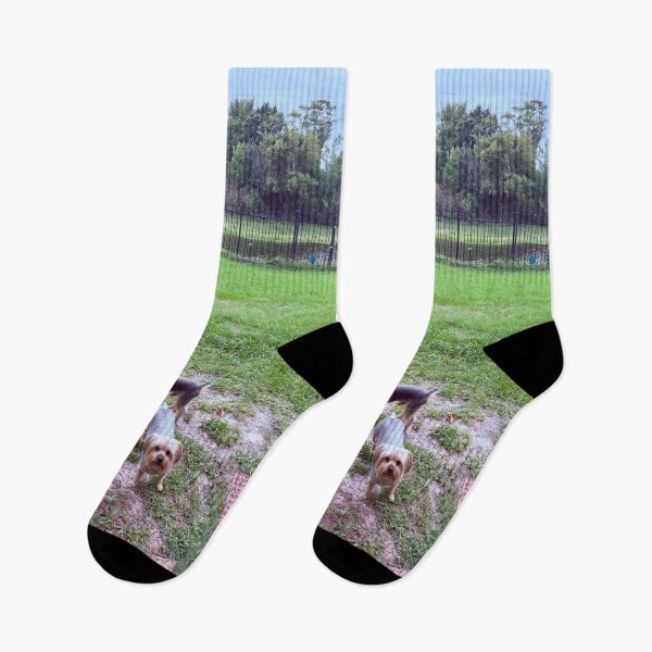 Item preview, Backyard with Dogs designed and sold by ROSENDE ART HOUSE.
