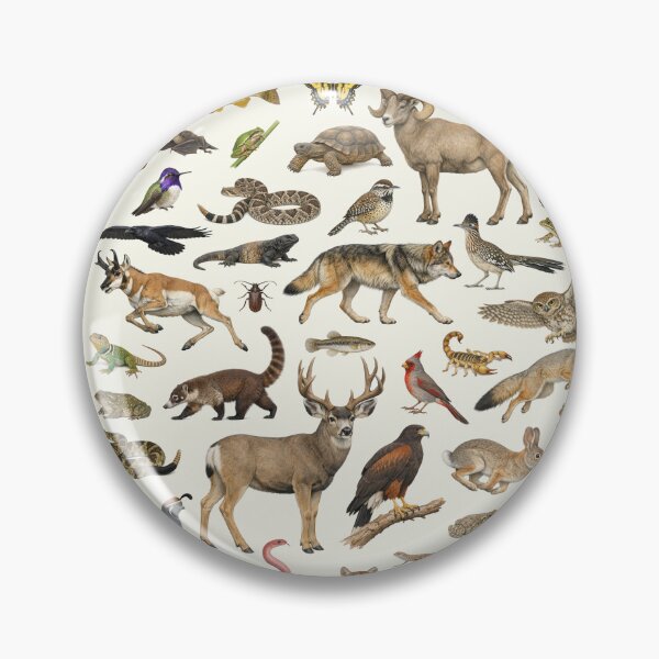 Item preview, Animals of Arizona Retro Style Identification Chart designed and sold by kakarikihill.