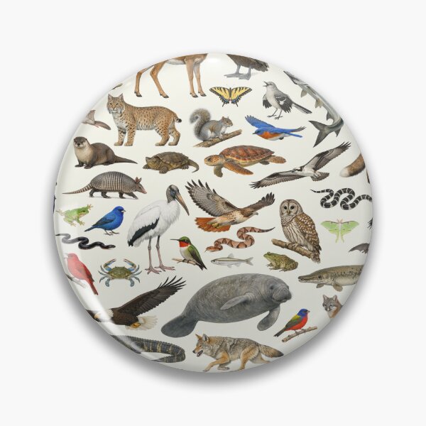 Item preview, Animals of Alabama Retro Style Identification Chart designed and sold by kakarikihill.