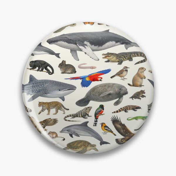 Item preview, Animals of Mexico Retro Style Identification Chart designed and sold by kakarikihill.
