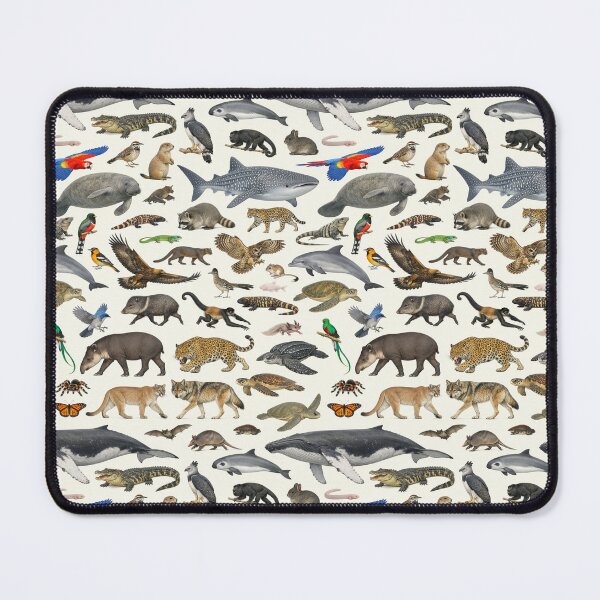 Item preview, Animals of Mexico Retro Style Identification Chart designed and sold by kakarikihill.