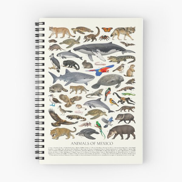Item preview, Animals of Mexico Retro Style Identification Chart designed and sold by kakarikihill.