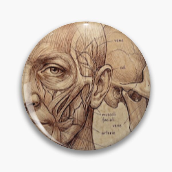 Item preview, Da Vinci skull designed and sold by jeugenet.