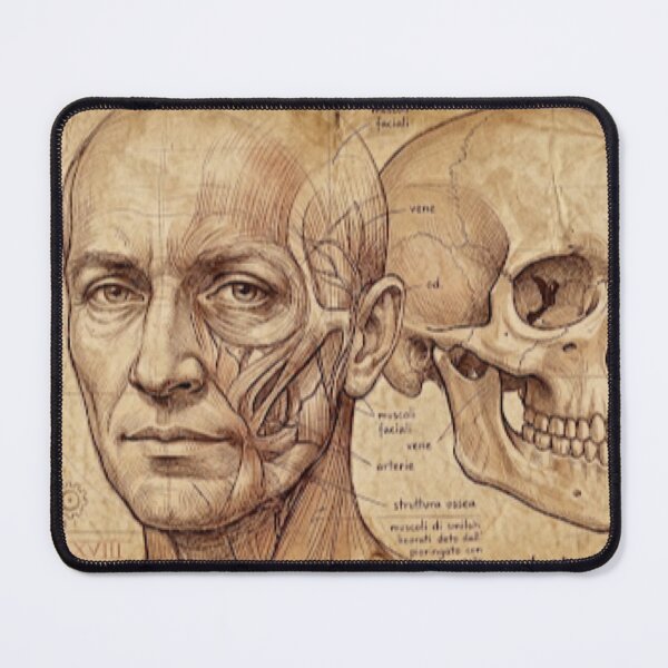 Item preview, Da Vinci skull designed and sold by jeugenet.