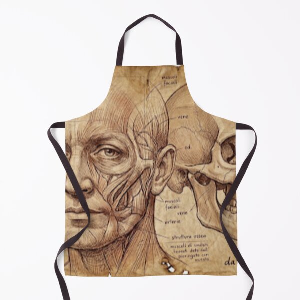Item preview, Da Vinci skull designed and sold by jeugenet.