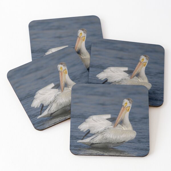 Item preview, American White Pelican 6-7-2026 designed and sold by Thomasyoung.