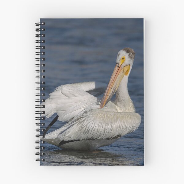 Item preview, American White Pelican 6-7-2026 designed and sold by Thomasyoung.
