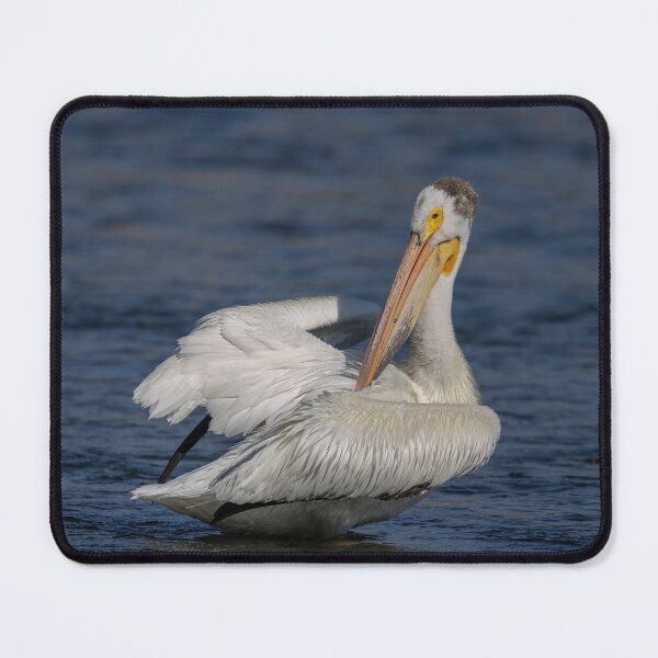 Item preview, American White Pelican 6-7-2026 designed and sold by Thomasyoung.