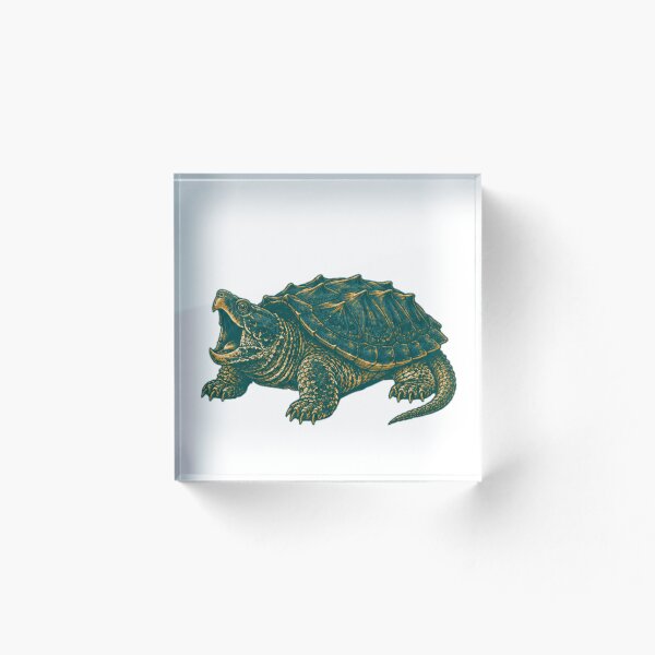 Artikelvorschau, Canyon Teal Alligator Snapping Turtle  entworfen und verkauft von TJT-GRAPHIX.