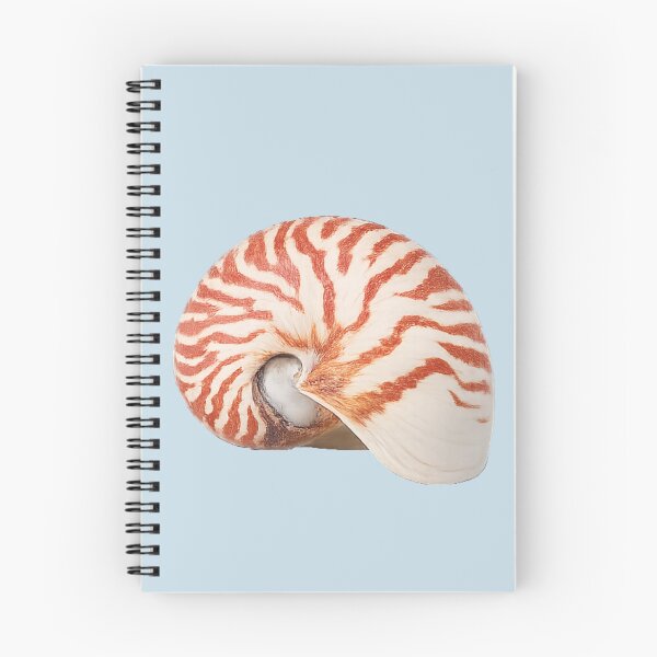 Item preview, Nautilus Shell designed and sold by Poplartree.