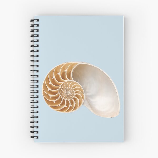 Item preview, Copy of Nautilus Shell designed and sold by Poplartree.