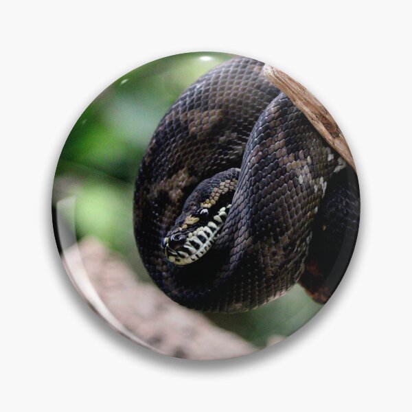Item preview, snuggly snake designed and sold by Harrison Siddons.