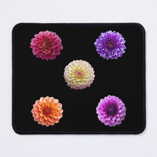 Item preview, Vibrant Dahlia and Chrysanthemum Bloom Aesthetic Floral Sticker Pack designed and sold by Art_IN_Design Pack.
