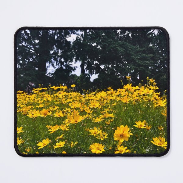 Item preview, Wild Yellow Coreopsis | EDINSTEPPE Collection designed and sold by E D I N S T E P P E.
