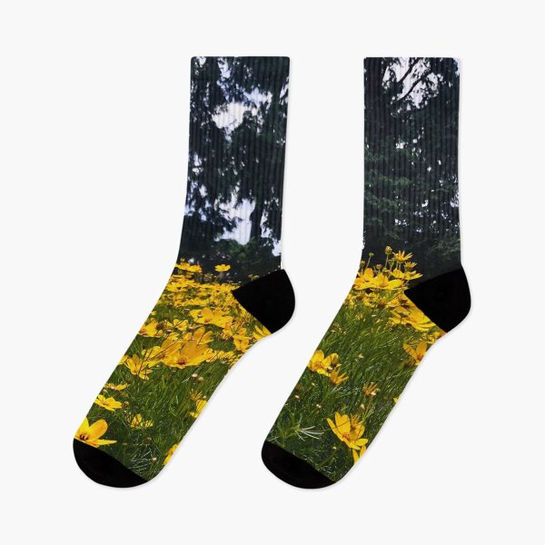 Item preview, Wild Yellow Coreopsis | EDINSTEPPE Collection designed and sold by E D I N S T E P P E.