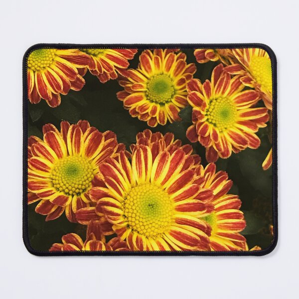 Item preview, Red And Yellow Gerbera Daisy Flowers Art Photo designed and sold by DEC02.