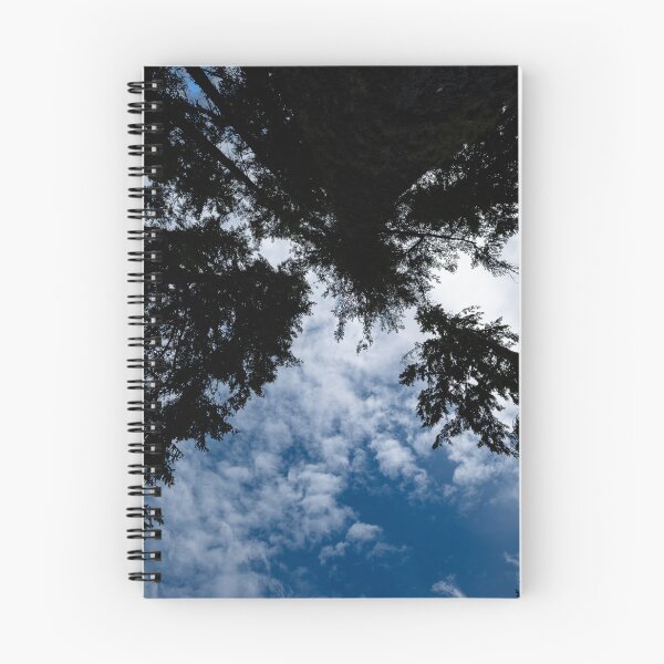 Item preview, Ultrawide shot upward of converging trees against cloudy blue sky designed and sold by lisavonbiela.