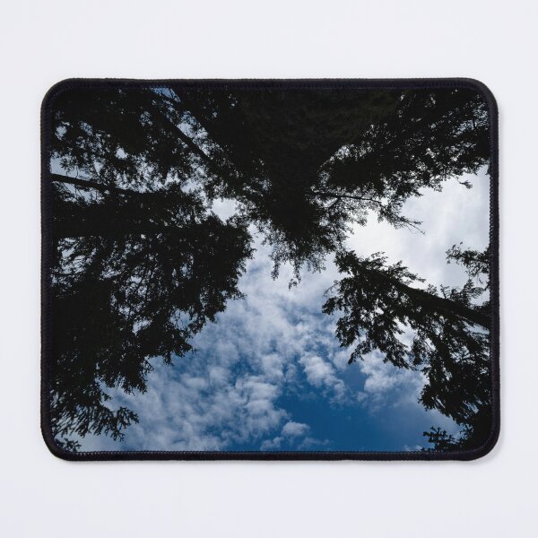 Item preview, Ultrawide shot upward of converging trees against cloudy blue sky designed and sold by lisavonbiela.