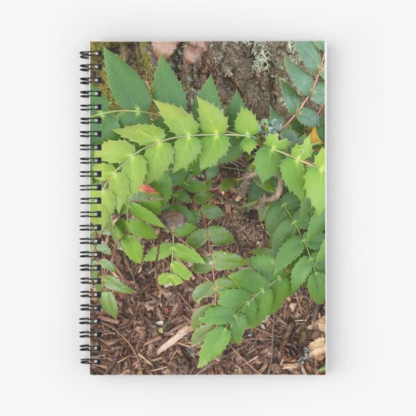 Item preview, Gently curving mahonia at base of tree designed and sold by lisavonbiela.