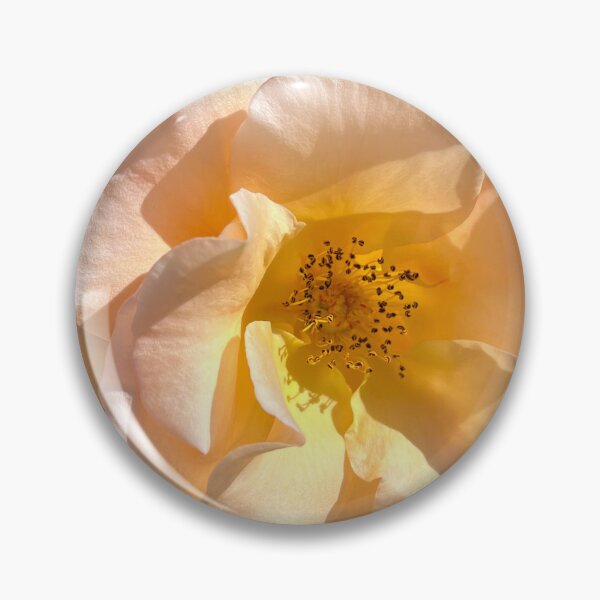 Item preview, Soft Peach Rose Bloom Elegant Floral Photography designed and sold by Be Captured by Brittany Emma.