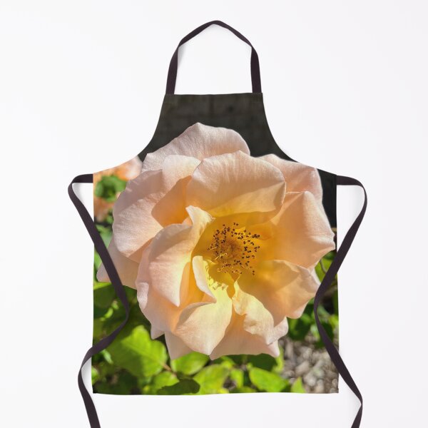 Item preview, Soft Peach Rose Bloom Elegant Floral Photography designed and sold by Be Captured by Brittany Emma.
