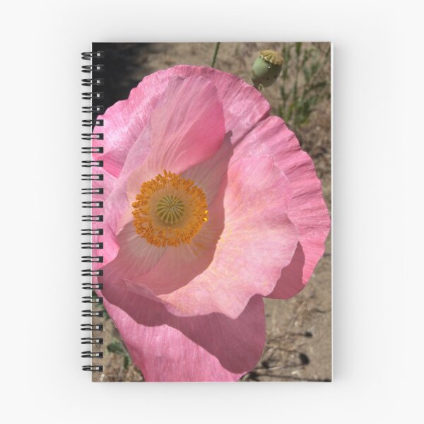 Item preview, Delicate Poppy Petals  designed and sold by Betsy Phillips.