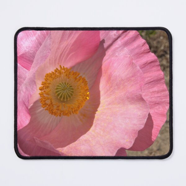 Item preview, Delicate Poppy Petals designed and sold by Betsy Phillips.