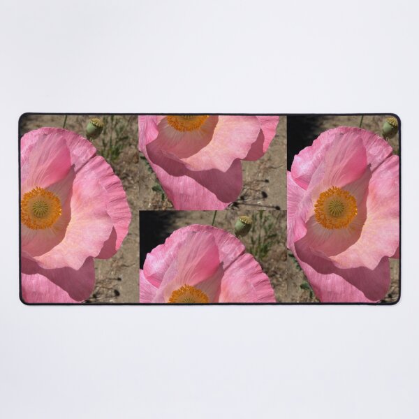 Item preview, Delicate Poppy Petals designed and sold by Betsy Phillips.