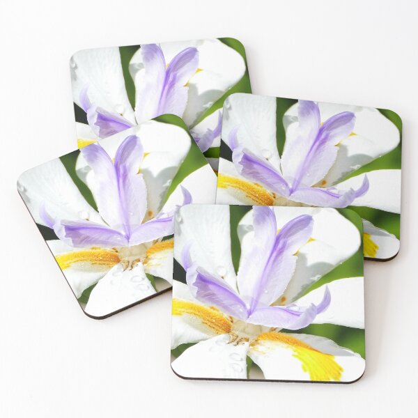 Item preview, Closeup of raindrops on the Butterfly Iris after the rain designed and sold by jaynerushton.