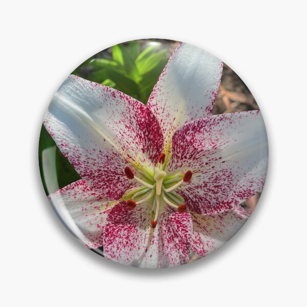 Item preview, Pink Speckled White Lily Flower Close-Up Photography designed and sold by Be Captured by Brittany Emma.