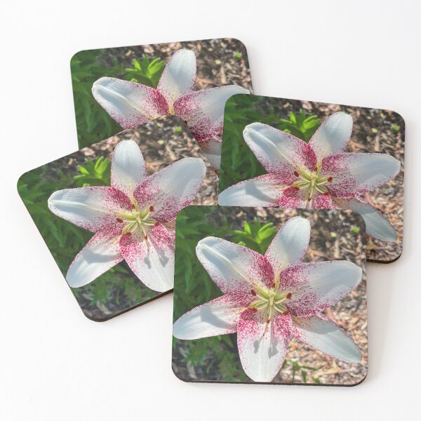 Item preview, Pink Speckled White Lily Flower Close-Up Photography designed and sold by Be Captured by Brittany Emma.