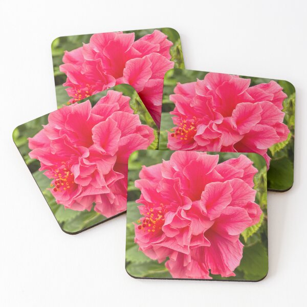 Item preview, Pink Double Hibiscus Tropical Flower Photography designed and sold by Be Captured by Brittany Emma.