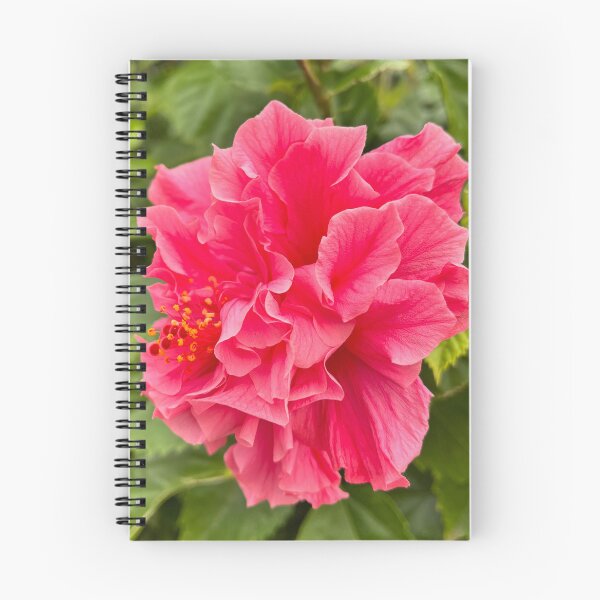 Item preview, Pink Double Hibiscus Tropical Flower Photography designed and sold by Be Captured by Brittany Emma.