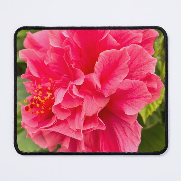 Item preview, Pink Double Hibiscus Tropical Flower Photography designed and sold by Be Captured by Brittany Emma.
