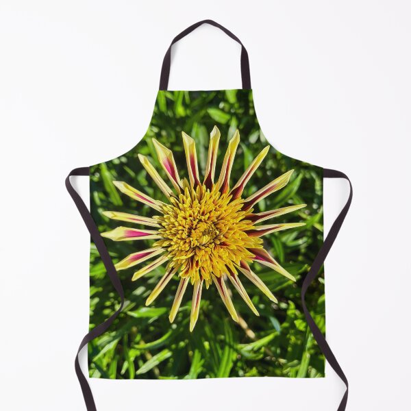 Item preview, Yellow and Burgundy Gazania Starburst Flower Photography designed and sold by Be Captured by Brittany Emma.