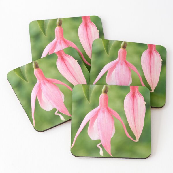 Item preview, Fuchsia  'Miss California'   designed and sold by Chris Burrows.